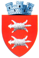 Interbelic Buhusi CoA.png