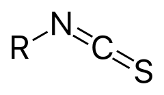 General structure of an isothiocyanate.