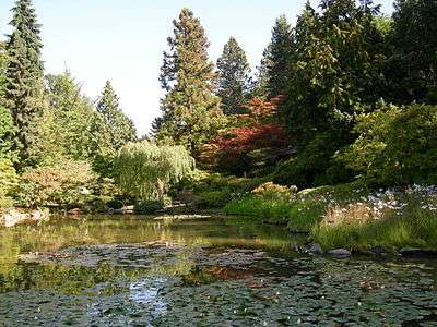 Japanese Garden - Seattle 03.jpg