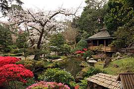 Japanese Tea Garden, San Francisco.jpg