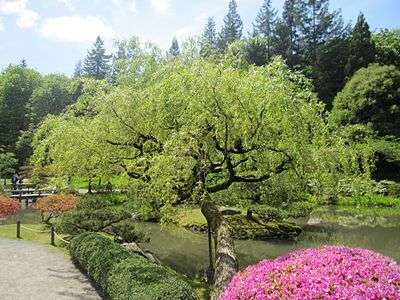 Japanese garden view 2.jpg