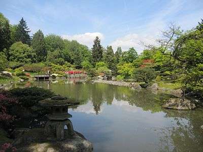 Japanese garden water.jpg