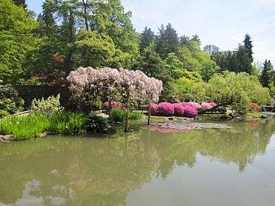 Japanese garden water 6.jpg