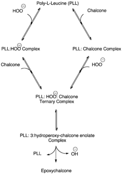 Ternary Complex Formation in the Juliá–Colonna Epoxidation