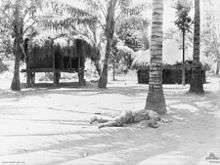 A soldier lies postrate on the ground at the base of a palm tree in a clearing with some huts