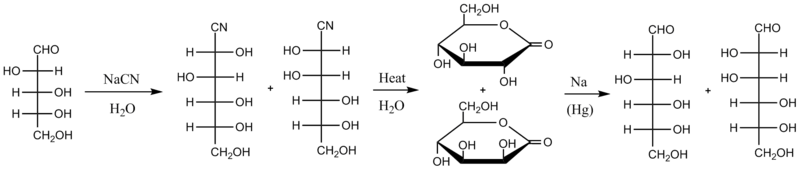 Kiliani-Fischer synthesis starting from D-arabinose, a five-carbon sugar, showing intermediates of each step and forming D-glucose and D-mannose, both six carbon sugars