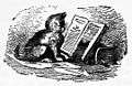 Kitten reading a book.jpg