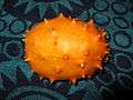 Kiwano.jpg