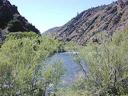 Light-green desert bushes in front of the river and its canyon