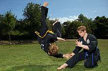 Kuk Sool Won students practice self defense techniques