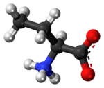 Ball-and-stick model of the α-aminobutanoic acid molecule as a zwitterion