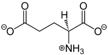 L-Glutamate Structural Formula