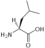 A chemical structure diagram of leucine