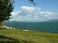 Lake Arenal and Volcano.JPG