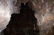 Lake Shasta Caverns 2.jpg