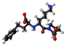 Ball-and-stick model of the lisinopril zwitterion