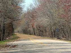 A narrow road emerges from a dense forest of trees