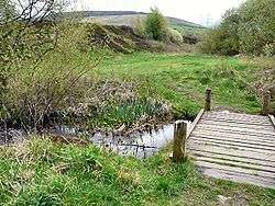 Small stream in a grassy valley