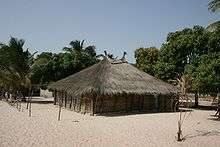 A house with a straw roof covered in nets and surrounded by trees