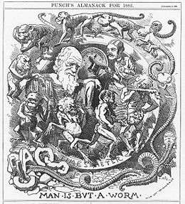 Darwin's figure is shown seated, dressed in a toga, in a circular frame labelled "TIME'S METER" around which a succession of figures spiral, starting with an earthworm emerging from the broken letters "CHAOS" then worms with head and limbs, followed by monkeys, apes, primitive men, a loin cloth clad hunter with a club, and a gentleman who tips his top hat to Darwin.