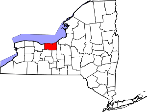 Map of New York highlighting Wayne County