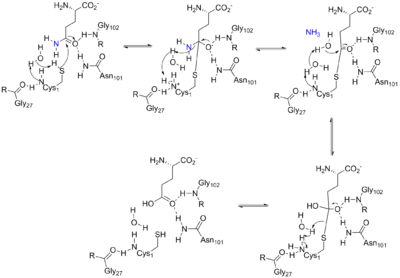 Arrow pushing mechanism for the reaction catalyzed by ATase.