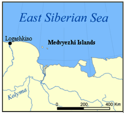 Medvyezhi Islands