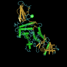 JHEsterase 3D structure