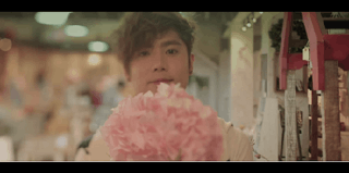 person holding a bouquet of pink flowers