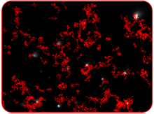 Typical image produced by NTA showing particles being tracked.