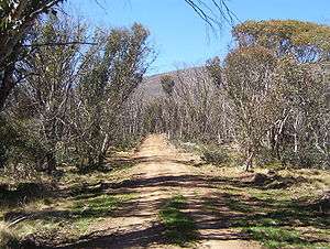 Namadgi National Park walking trail.jpg