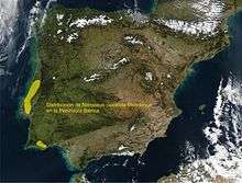 Distribution map of Narcissus calcicola