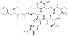 The 2d structure of the Nodularin-R peptide.