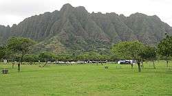 grass and picnic tables