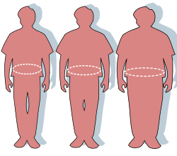 Three silhouettes depicting the outlines of a normal sized (left), overweight (middle), and obese person (right).