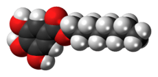 Space-filling model of the octyl gallate molecule