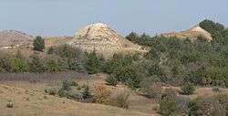 Bare hill rising from conifer woods