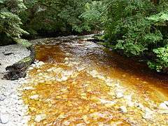 Oparara Basin the River 3.JPG