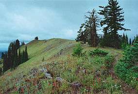 A trail atop Oregon Butte.