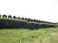 Outer walls, Naldurg fort.jpg