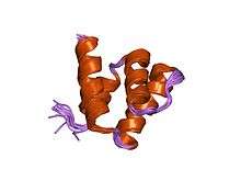 p53 binding domain of PIAS-1