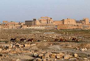 Ruins of Palmyra