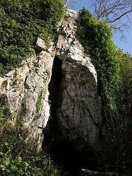 Limestone outcrop with triagular fissure (widest at the bottom, narrowing to the top). Foliage obscures the stone at either side, away from the cave entrance. Leafless trees stand at the top of the gorge. Foliage is outside the cave, in the foreground,