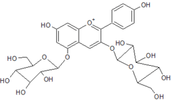 Chemical structure of pelargonin