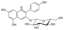 Chemical structure of callistephin