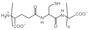 Skeletal formula depicting the amino acids cysteine and glycine joined in a peptide bond, with free carboxy and amino groups at either end of the peptide chain. Parentheses around the peptide bond indicate a variable number of amino acids are involved.