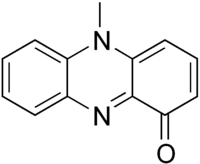 Structural formula of pyocyanin