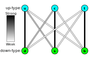 Three balls "u", "c", and "t" noted "up-type quarks" stand above three balls "d", "s", "b" noted "down-type quark". The "u", "c", and "t" balls are vertically aligned with the "d", "s", and b" balls respectively. Colored lines connect the "up-type" and "down-type" quarks, with the darkness of the color indicating the strength of the weak interaction between the two; The lines "d" to "u", "c" to "s", and "t" to "b" are dark; The lines "c" to "d" and "s" to "u" are grayish; and the lines "b" to "u", "b" to "c", "t" to "d", and "t" to "s" are almost white.