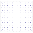 Dense vector field representation.