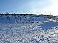 Reindeers on eastern shores of Raudvatnet E.JPG